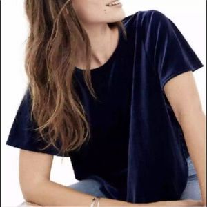 Madewell blue velvet butterfly blouse